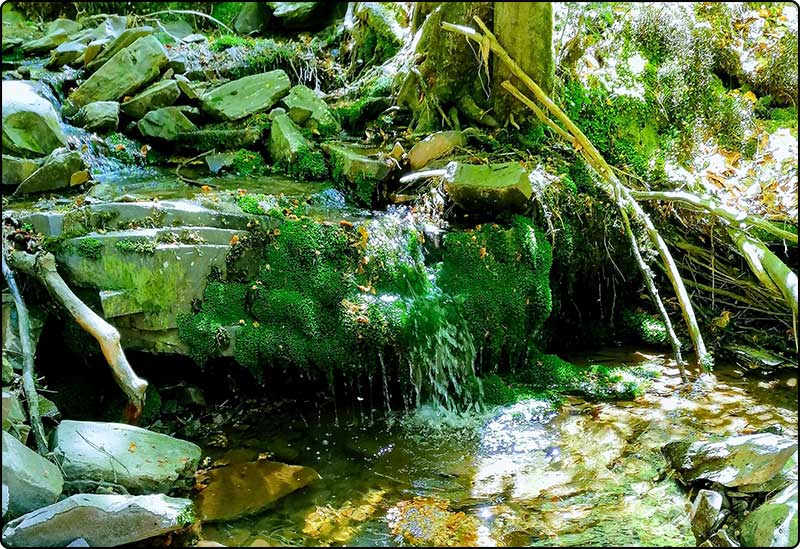 Naturparkzentrum Thüringer Wald