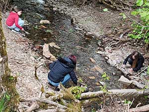 Der Weg des Wassers