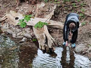 Der Weg des Wassers